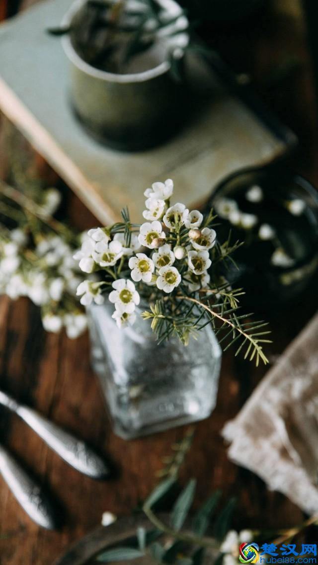 花甲、古稀、耄耋、期颐之年各指多大岁数？