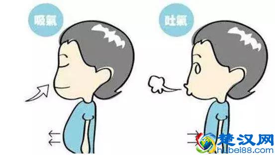 撩新车：汽车小百科之Turbo（涡轮增压）到底是什么