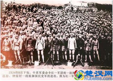 集团军的冷知识，你知道多少？