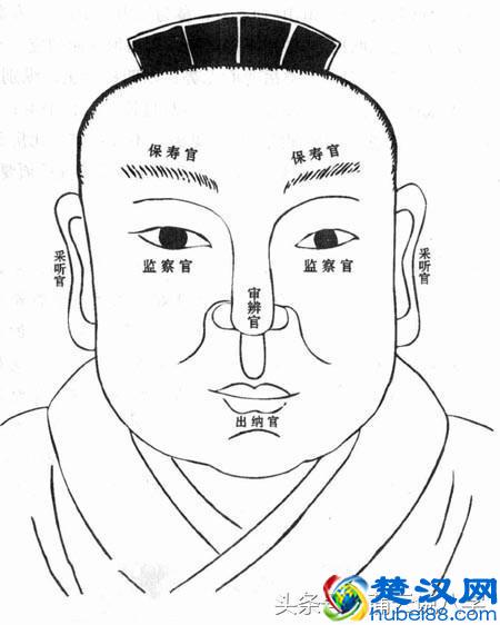 看相常常指的五官是哪些呢？