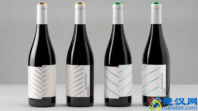 深圳设计公司推荐-简约时尚的红酒包装设计