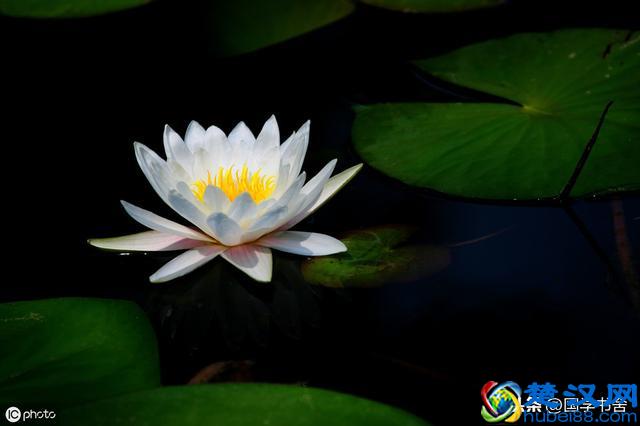 慎独，是一个人的高级修养