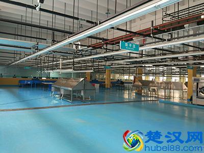 洗衣房设备用空压机