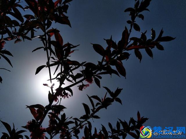 玄学是科学还是迷信？