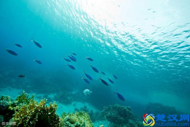 为什么庄子会对“相濡以沫”的人生，嗤之以鼻