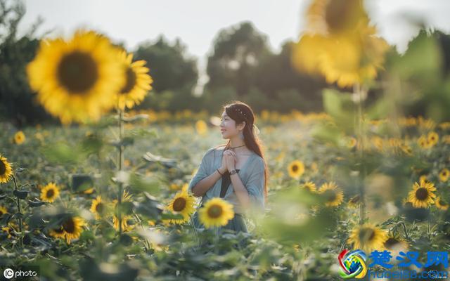 为什么庄子会对“相濡以沫”的人生，嗤之以鼻