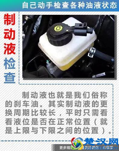 车辆常见油液状态检查 自己动手其实很简单！