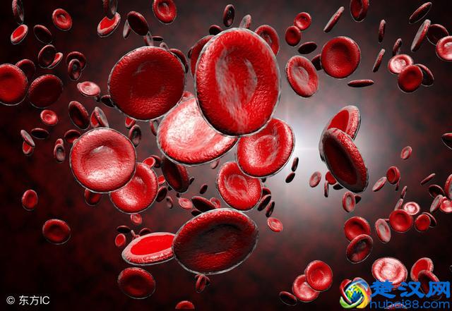 血沉高是怎么回事？这可不能单独用来作为测量疾病的指标