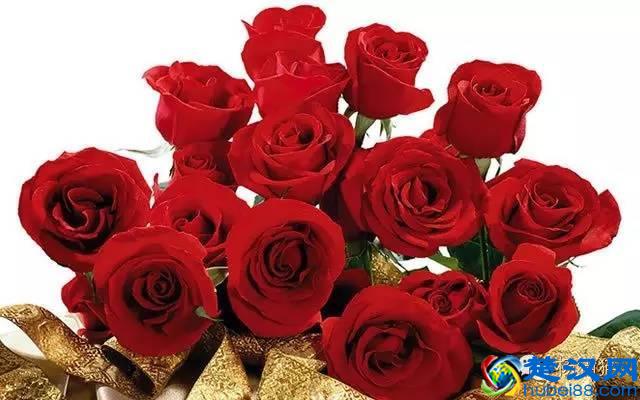 12朵玫瑰花语的含义