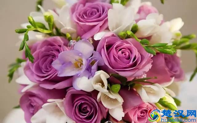 12朵玫瑰花语的含义