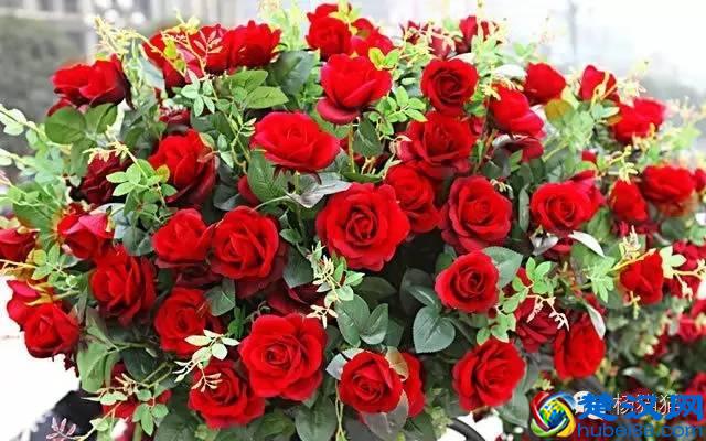 12朵玫瑰花语的含义