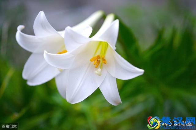 什么方式净化室内空气最有效？