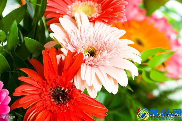 什么方式净化室内空气最有效？