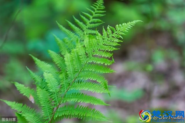 什么方式净化室内空气最有效？