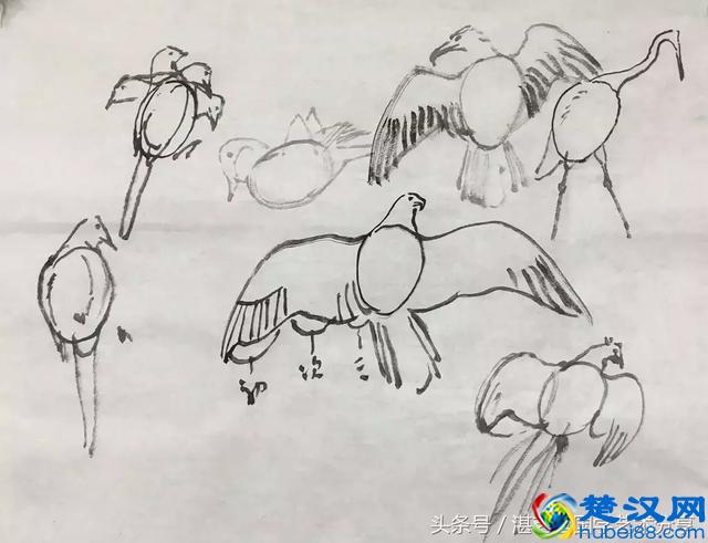 写意太平鸟画法步骤