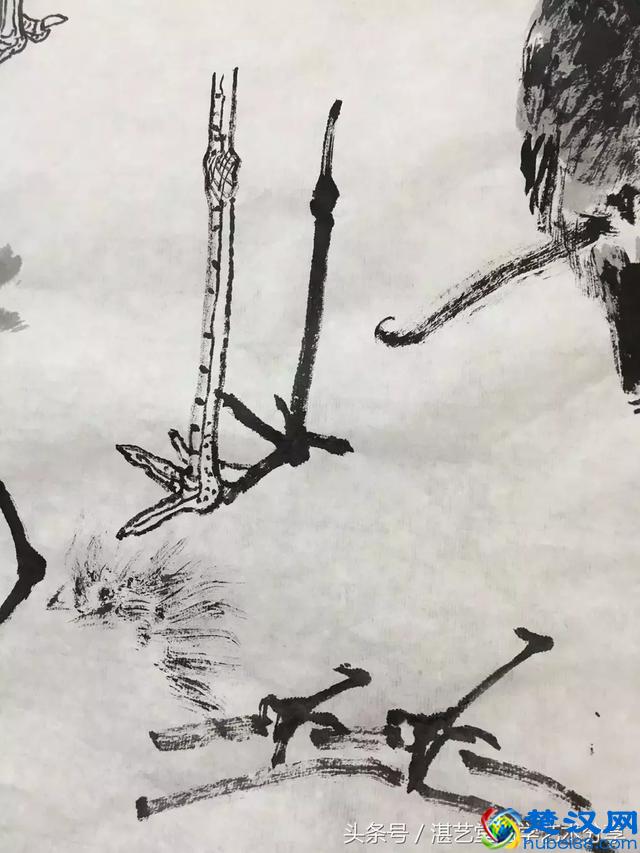 写意太平鸟画法步骤