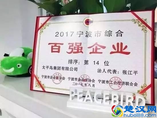 太平鸟：年轻化转型的成功代表！