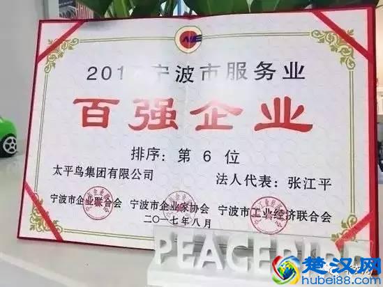 太平鸟：年轻化转型的成功代表！