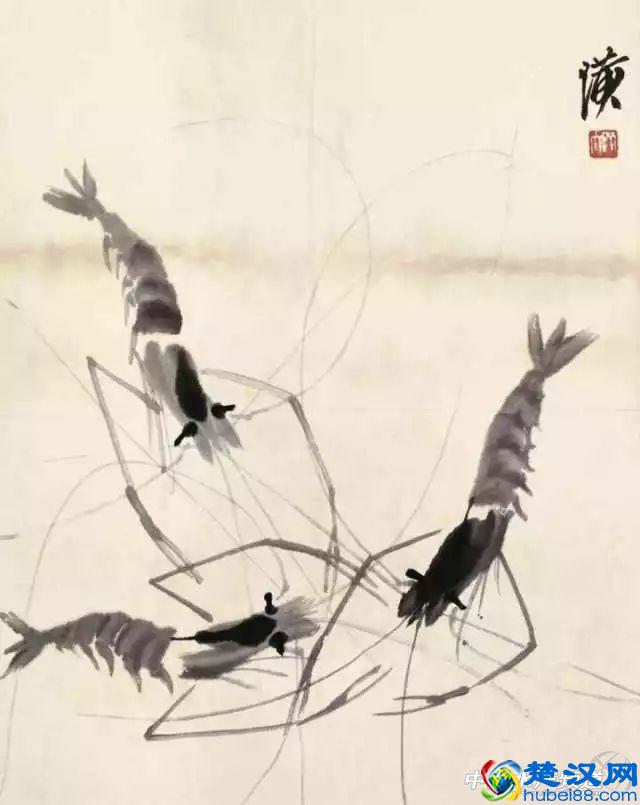 吃了这么多年虾，你能分清品种吗？