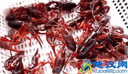 吃了这么多年虾，你能分清品种吗？