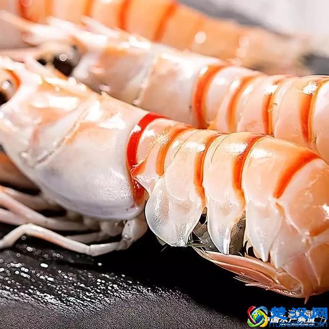 吃了这么多年虾，你能分清品种吗？