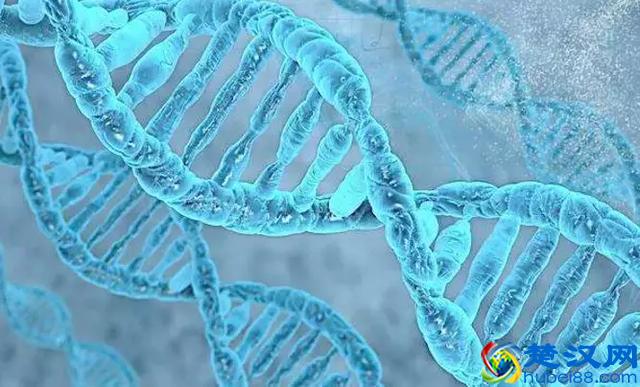 什么是辐射，辐射一定对人体有害吗？