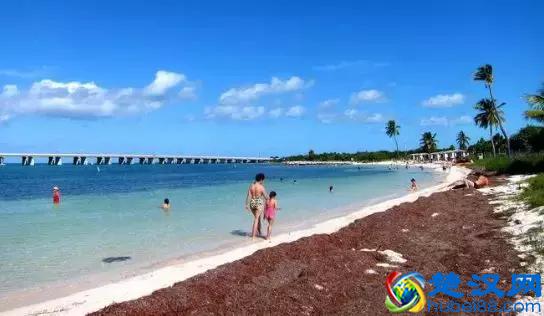 什么是辐射，辐射一定对人体有害吗？