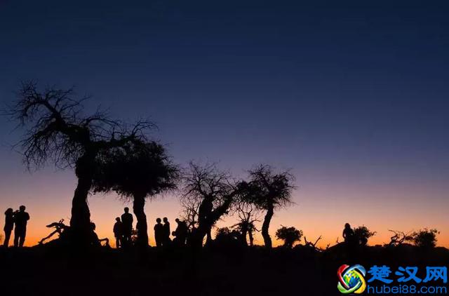 简单几招，教你拍出漂亮的剪影照片