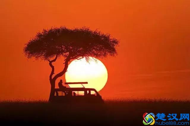 简单几招，教你拍出漂亮的剪影照片