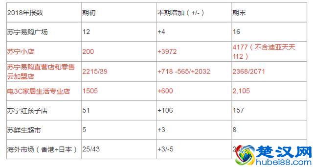 浅谈苏宁易购之一