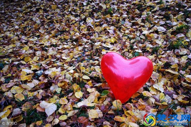 很认真的跟你解释：什么叫单相思？