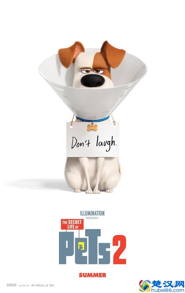 盘点即将在2019年上映的动画电影，你最期待哪一部？