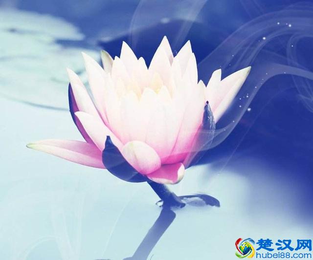 唯心主义和唯物主义，到底有何异同？唯心主义有没有可能是对的？