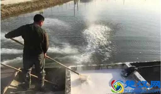 漂白粉只有明白了，才会用对