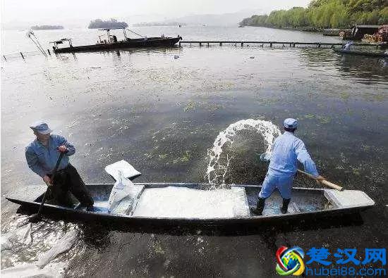 漂白粉只有明白了，才会用对