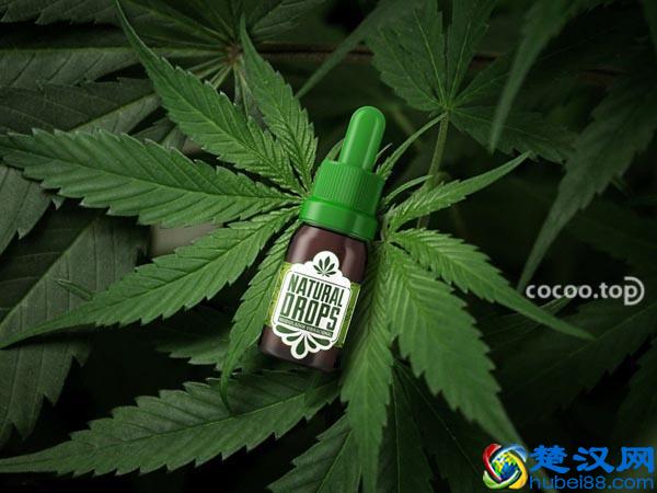 设计中的感性诉求！需要遵循的原则