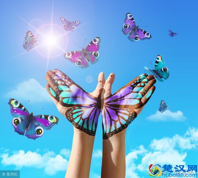 很适合大学女生读的几本书