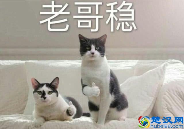 DNF：盘点游戏史上最出名的几个外挂，如果没有外挂游戏会怎样呢