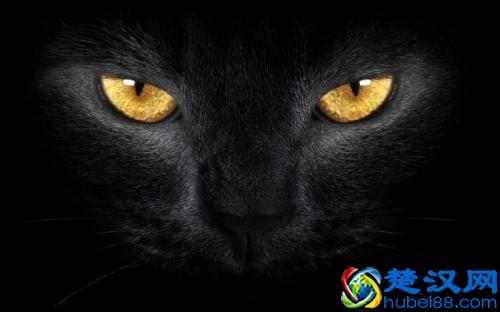 “不可一世”原意为不轻易赞许别人，后意狂妄至极，你知道由来吗