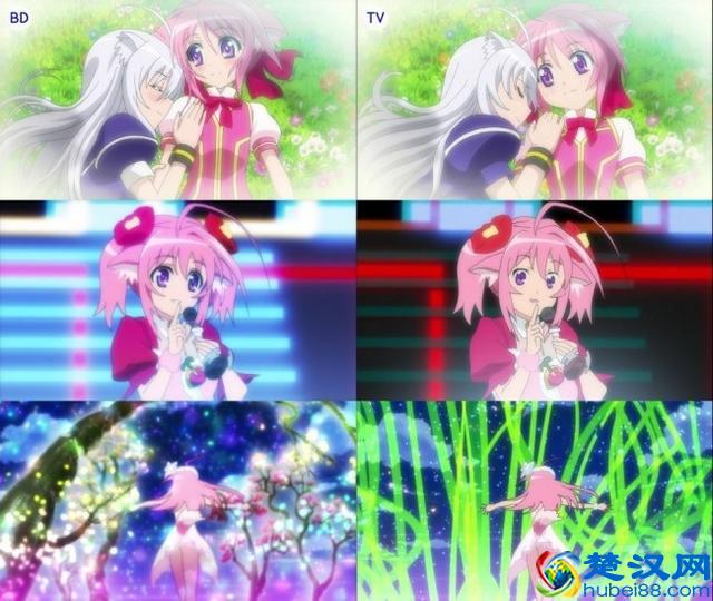 惊讶的动画 TV 版和 BD 版大比较