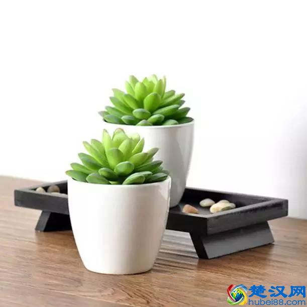 这个节日，送给女教师的9个礼物| 特别关注