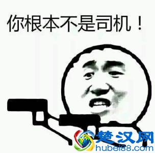 很多人选择购买奥迪Q5 其实原因无非这几点