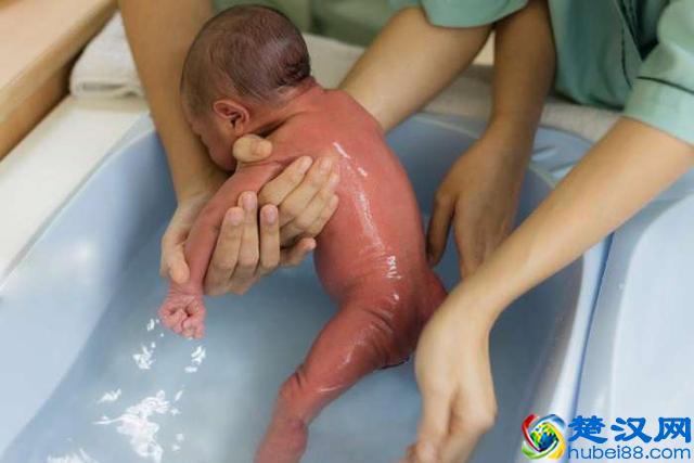 如何帮新生婴儿洗澡，5个步骤，教会你帮婴儿洗澡正确的方式