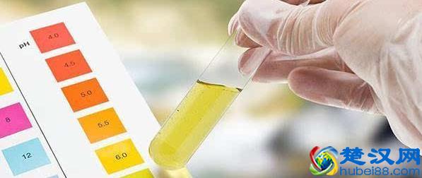 如何判断自己属于碱性体质，快速调理碱性体质生男孩