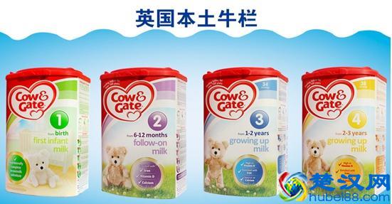 哪些婴儿奶粉品牌最受欢迎？婴儿奶粉品牌排行榜排名如何
