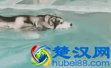 你真的了解ppm吗？