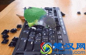 你真的了解ppm吗？