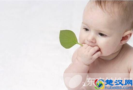 婴儿湿疹最佳治疗方法 这么做可有效预防婴儿湿疹哦