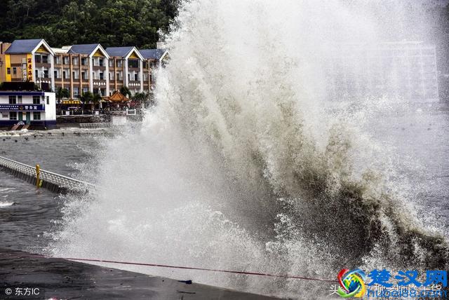 台风是怎样形成的,台风形成的条件是什么