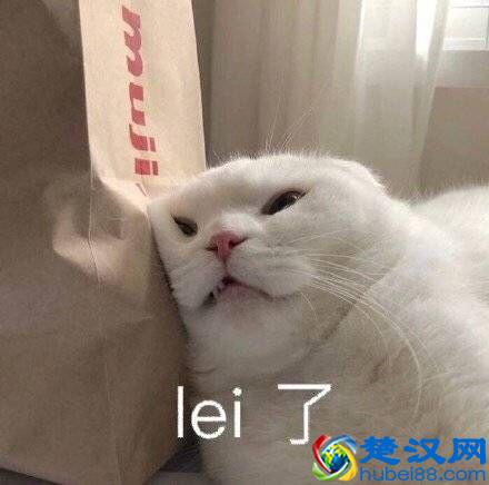 画风治愈，好玩不累，这几款休闲游戏让我感觉我老了！